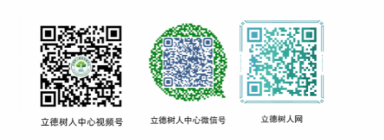 麻豆传媒