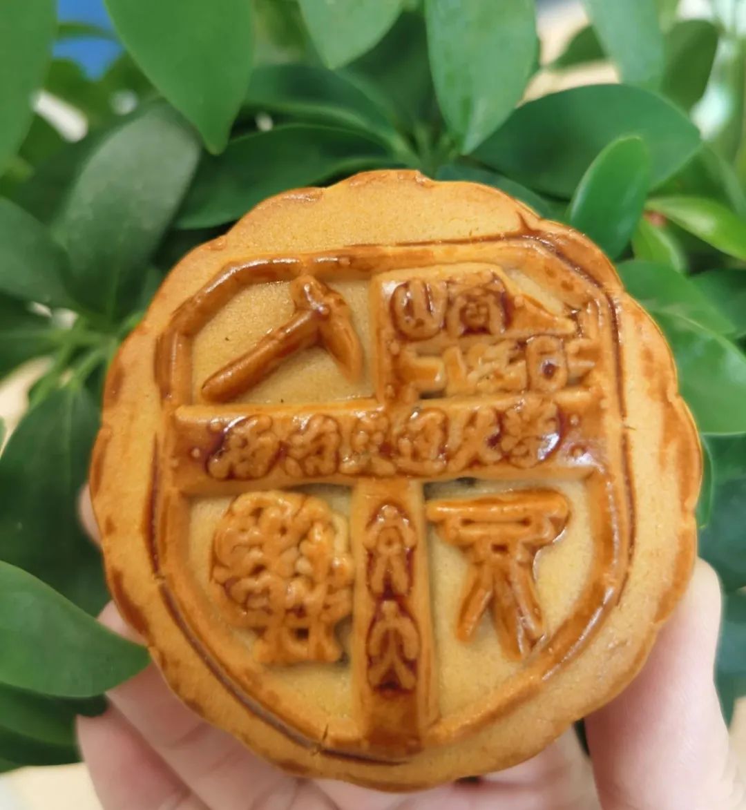 麻豆传媒