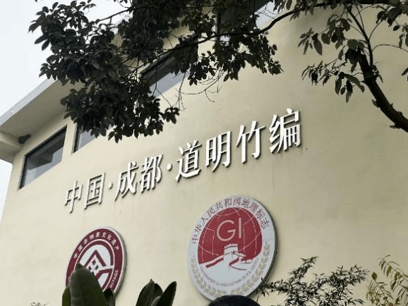 麻豆传媒